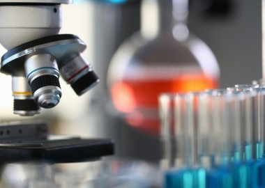 05. CRO and Sponsor Pharmaceutical Companies